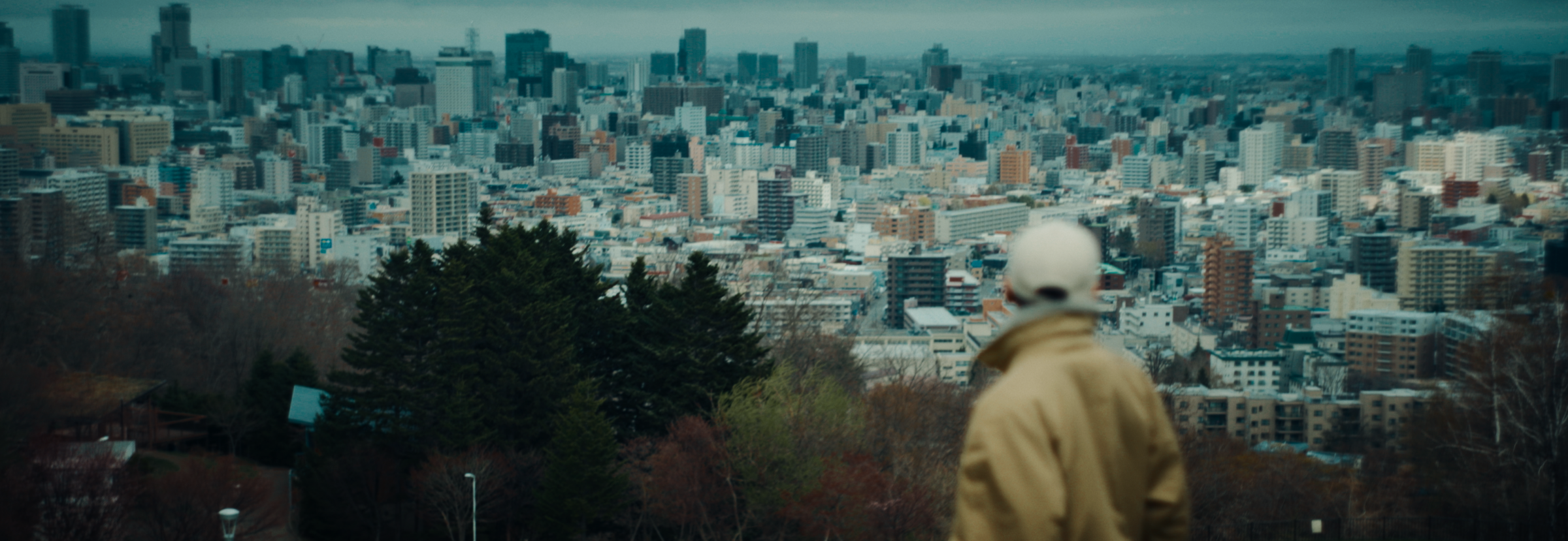 Person looking over a cityscape from an elevated viewpoint